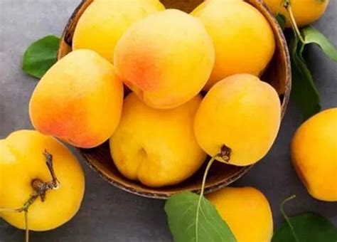 水蜜桃品种、水蜜桃的品种分类、有哪些新品种？ - 桃子 - 蛇农网