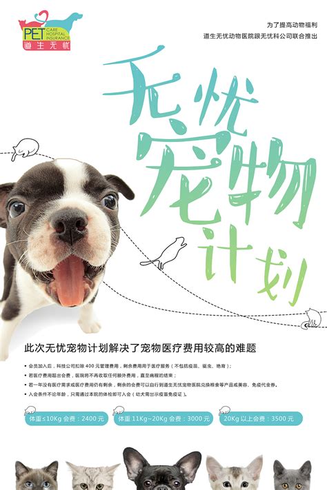 给朋友的宠物医院设计的3款海报|平面|海报|yoori - 原创作品 - 站酷 (ZCOOL)