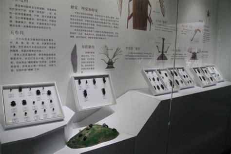 中国第一家原创手办，超越日本的设计灵感__凤凰网