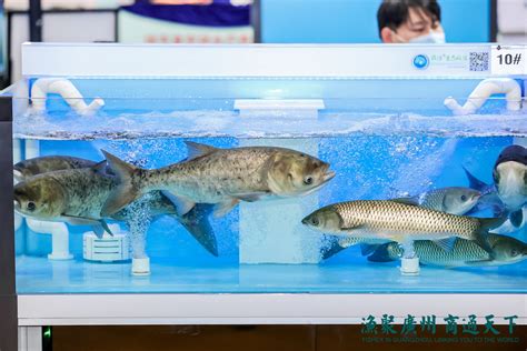 2018年第四届中国广州国际渔业博览会产品图片高清大图