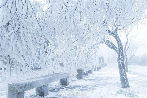 杭州下雪啦！最恐怖最冷的日子要来了……-浙江在线