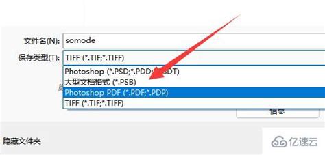 CDR如何导出PDF文件-CorelDRAW导出为PDF格式的方法教程 - 极光下载站