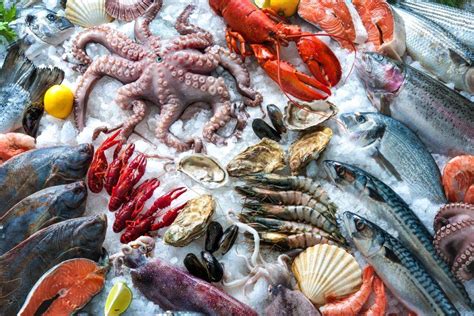 让海洋重获新生：替代海鲜的广阔商机-FoodTalks
