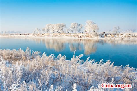 Frost scenery at Wusong Island scenic spot in Jilin - Xinhua | English ...