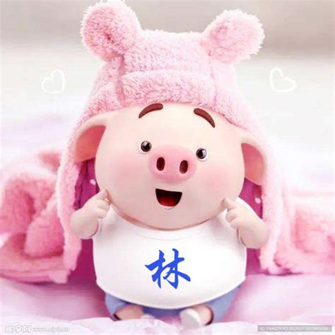 百家姓头像图片