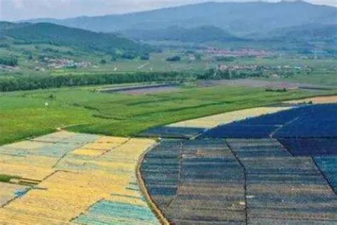 三农问题核心在农业，中国要探索小农经济的现代化路径！ – 69农业规划设计.兆联顾问公司