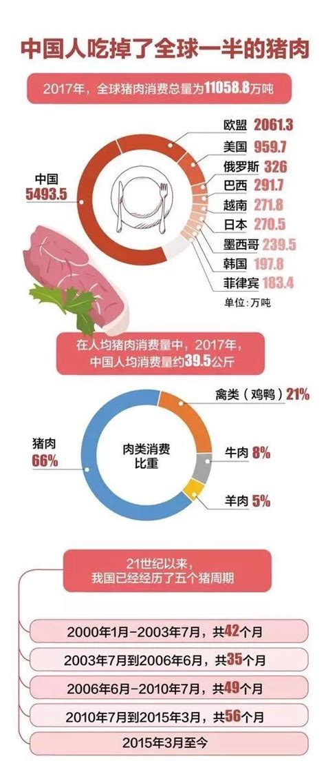 猪肉市场分析报告_2017-2023年中国猪肉产业深度调研与投资决策咨询报告_中国产业研究报告网