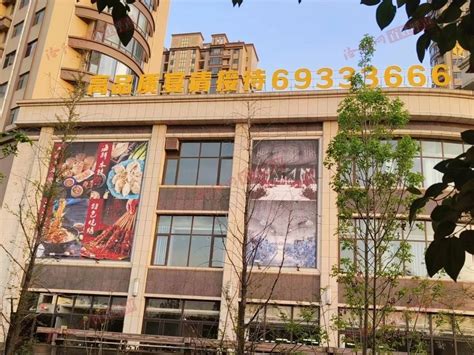洛阳伊滨区中央公园正式开放 - 河南省文化和旅游厅