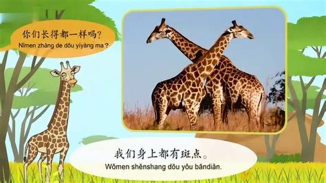 英语字母长颈鹿插画png下载-包图网