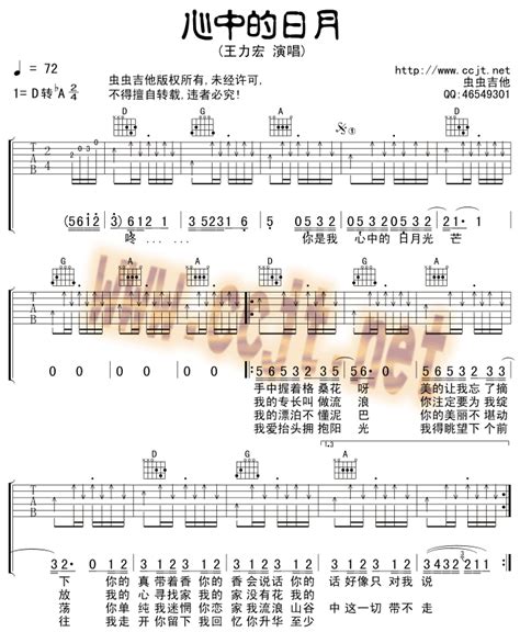 心中的日月 - 王力宏 - 吉他谱(虫虫吉他编配) - 嗨吉他