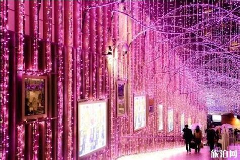 日本三重县名花之里灯光秀美轮美奂 “奇迹巨树”吸引眼球