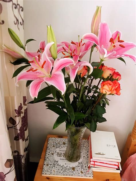 待到春花烂漫时_[标签:标题1]