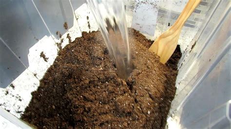 8种给土壤消毒方法，土壤消毒有哪些具体方法|admin_人人点
