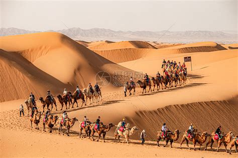 宁夏沙坡头沙漠中行进的骆驼队伍高清图片下载-正版图片507695694-摄图网
