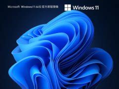 Windows11官方下载_Windows11系统官网下载大全 - 系统之家
