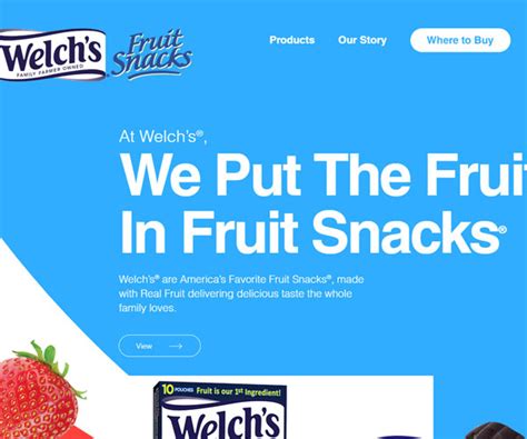 Welchs fruit snacks水果零食商店网站设计-高端官网网站建设_设计_制作-迈若网络