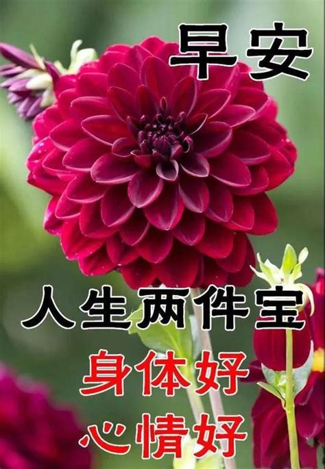 大年初六清新漂亮早上好图片带字带祝福语 大年初六早安问候祝福语图片带字精选|大年|初六-滚动读报-川北在线