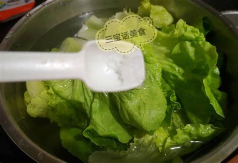蔬菜清洗流程,蔬菜清洗,蔬菜清洗设备_大山谷图库