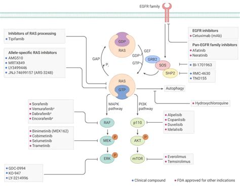 高通量测序分析PIK3CA突变型与野生型结直肠癌的肠道菌群特征