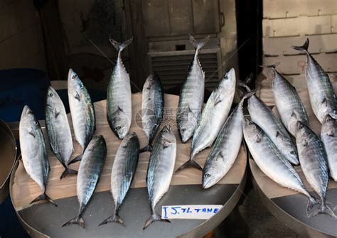 在鱼市场销售的新鲜鱼高清图片下载-正版图片307120054-摄图网