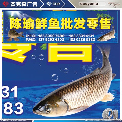 鱼店招牌设计图__海报设计_广告设计_设计图库_昵图网nipic.com