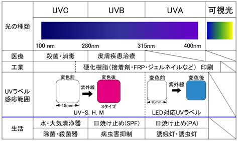 日本nichigi紫外线照射灯UV label产品介绍-秋山科技（东莞）有限公司