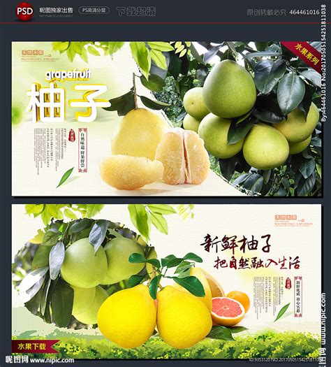 柚子设计图__海报设计_广告设计_设计图库_昵图网nipic.com