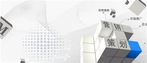第2页-国际站代运营-案例分享-案例-广州领航者信息科技有限公司