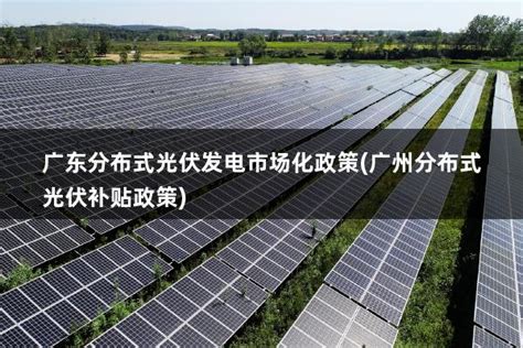 广东分布式光伏发电市场化政策(广州分布式光伏补贴政策) - 太阳能光伏板