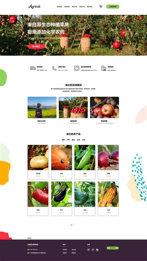 京东蔬菜网页|网页|电商|温顺的皮卡丘_原创作品-站酷ZCOOL