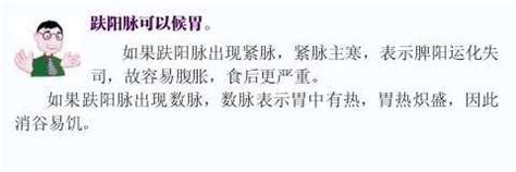 趺阳脉位置图解图片