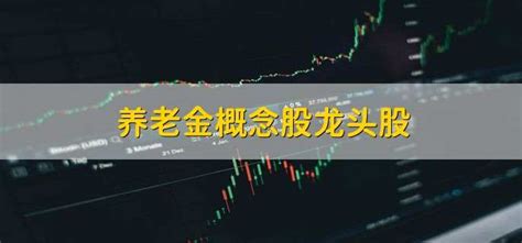 养老金概念股龙头股 - 财梯网