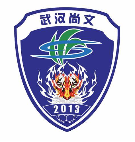 武汉江城足球队名单