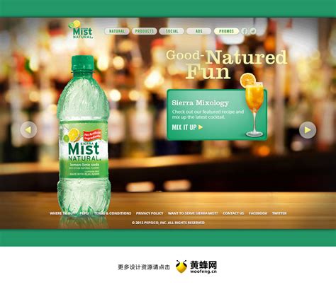 果味饮料饮品|网页|企业官网|bing2015 - 原创作品 - 站酷 (ZCOOL)