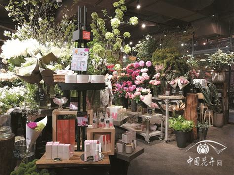 首页-壹贰叁花艺店花店|花店-花娃网HuaWa.Com