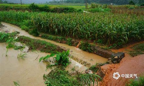 湖南：洪水过境 村庄被淹_凤凰网