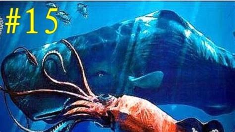 荒岛求生3海怪系列：巨鱿