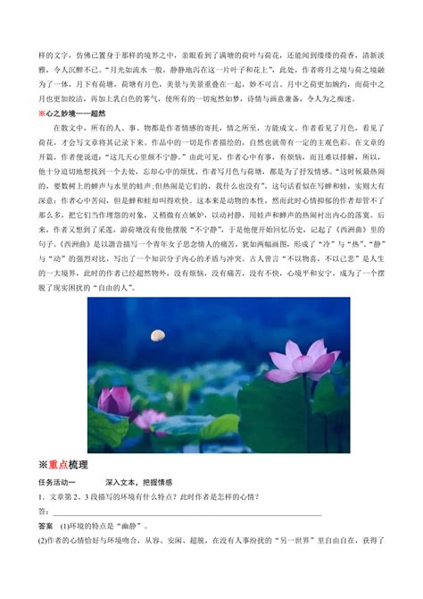 赏朱自清《荷塘月色》-搜狐大视野-搜狐新闻