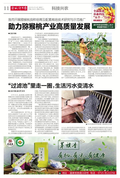 省粮食生产科技服务组赴咸宁荆州指导早稻、再生稻生产 - 荆州市农业农村局