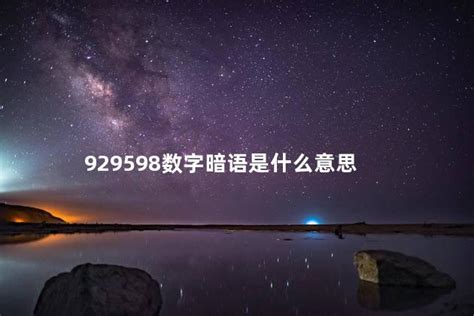 929598数字暗语是什么意思 夜场说的95加满暗示什么意思 - 邮币网