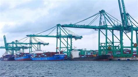 广澳港二期：六台岸桥全部到位 提升码头装卸效率_汕头
