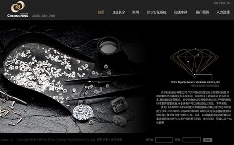 长宁钻石网站设计