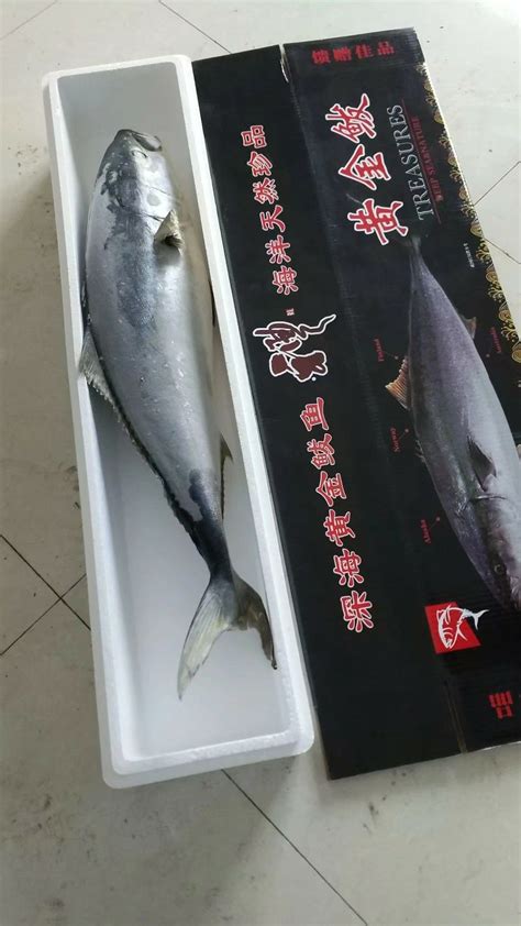 重庆有机鱼、生态鱼、野生鱼,批发