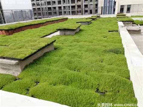 最全屋顶绿化的技术及实施要点-绿宝园林网