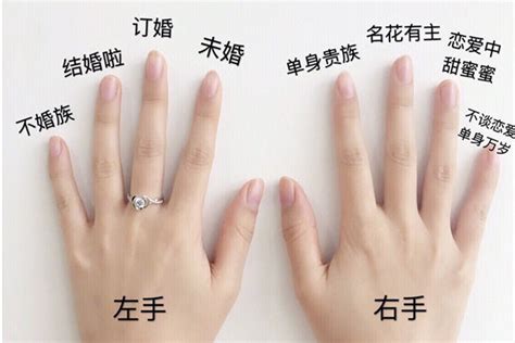 戒指佩戴在各个手指的意义 - 中国婚博会官网