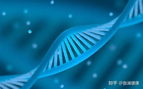 基因检测测的究竟是什么? 基因检测结果可信度有几分 - 中国基因网