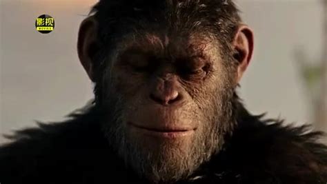 《猩球崛起3：终极之战》先导预告 凯撒霸气宣战 _ 游民星空 GamerSky.com