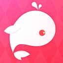 鱼丸星球app下载_鱼丸星球安卓下载最新版v4.1.8-麦块安卓网
