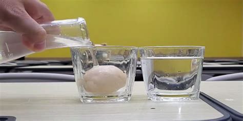 盐水浮鸡蛋的原理（生活中科学实验悬浮的鸡蛋实验原理） – 碳资讯