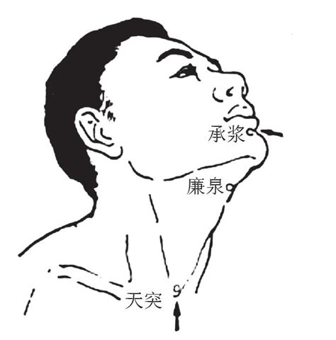 承浆的准确位置图图片 承浆的准确位置图图片